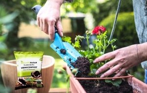 The Perfect Pairing: Using Vermicompost with a Water Pump for Sustainable Gardening